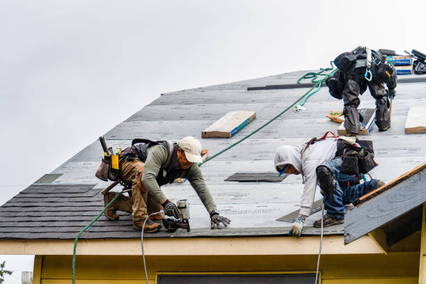 Professional Gutter Installation technician working in Waco, NE